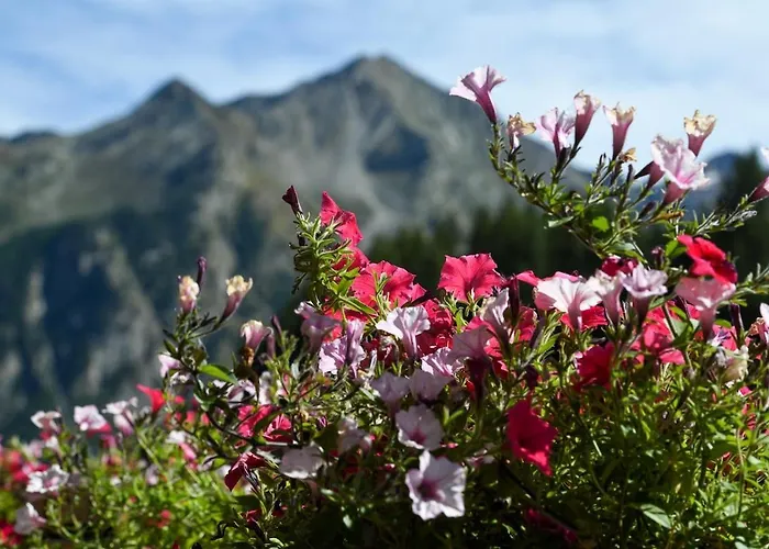 In Front Of Grand Paradis And Arolla Semesterbostad *